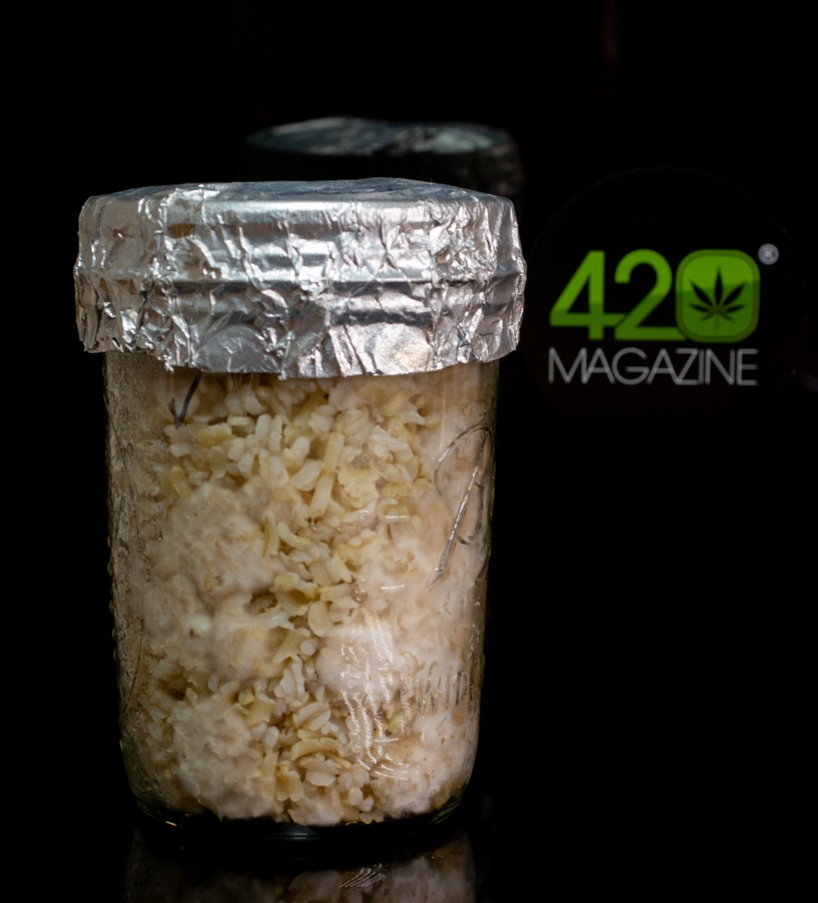 Rice jar with mycelium growth.jpg