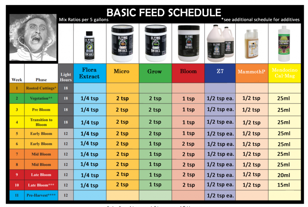 Rider's Flying Skull feed schedule