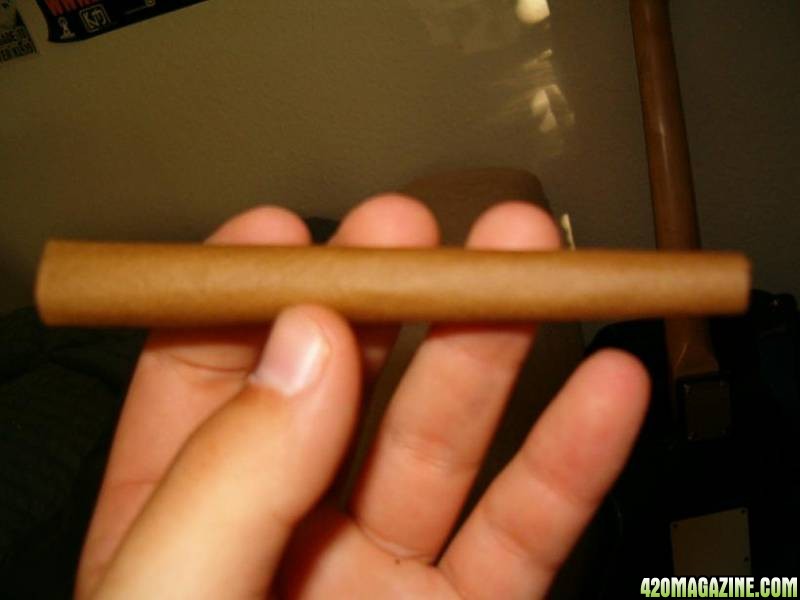 rolemodelsblunt