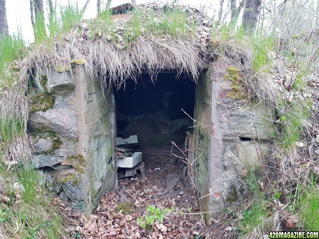 Root cellar