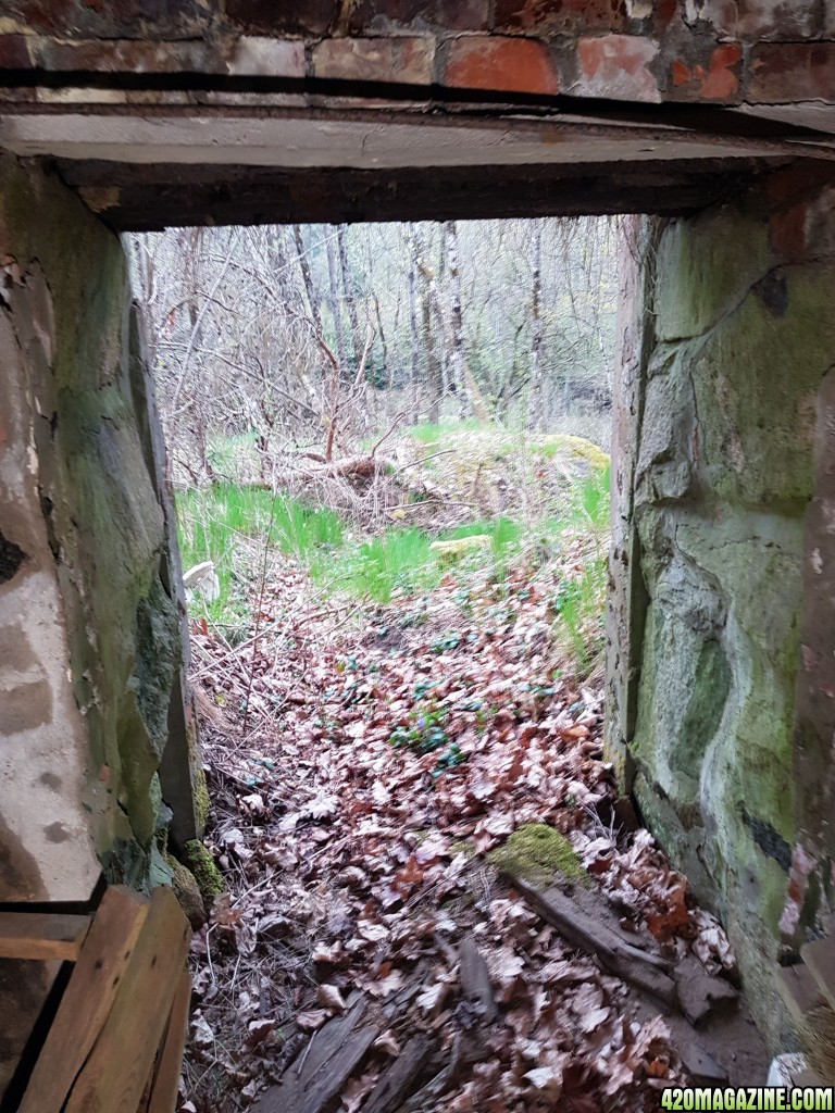 Root cellar