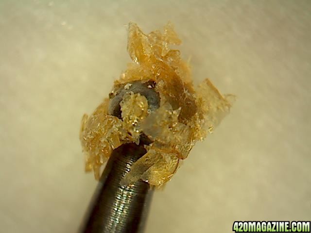 rosin25u_t2