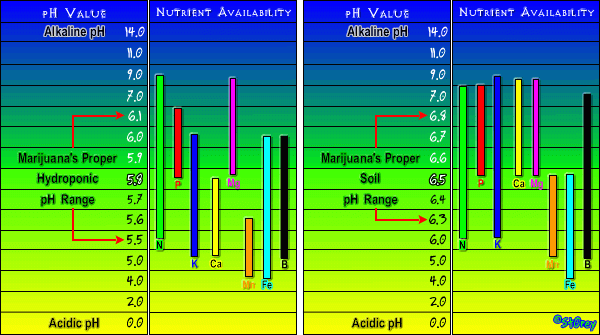 rs_rs_ph_nutrient_availability