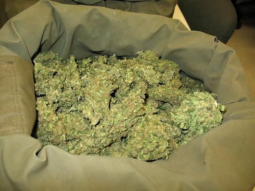 sack of buds