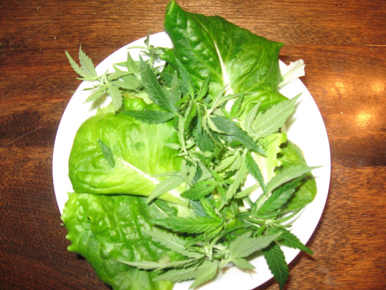 Salad W/ cannabis  IMG_4185.JPG