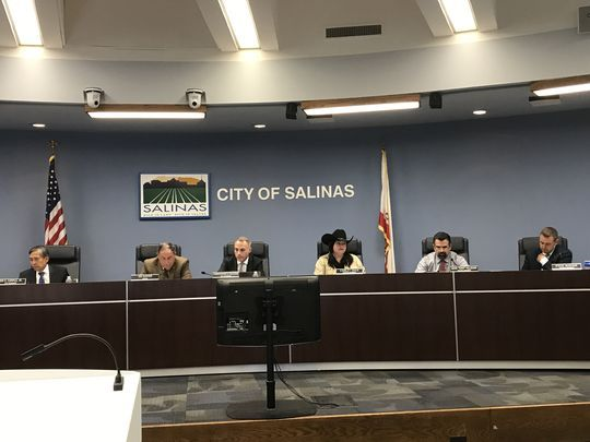 Salinas Council - Amy Wu