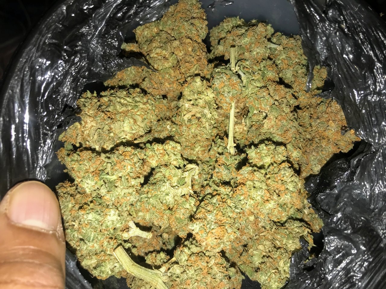 Same green crack