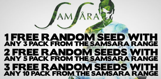 Samsara Promo