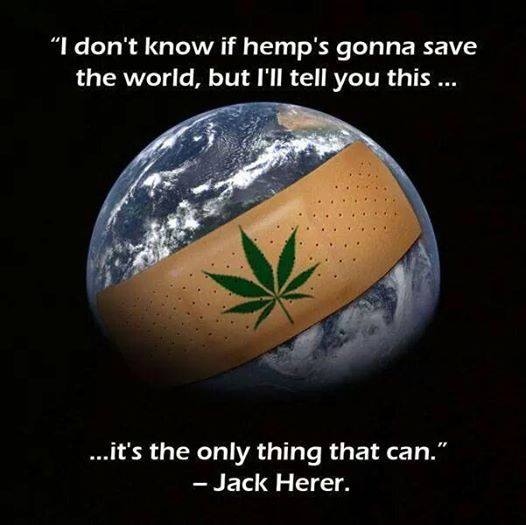 Save The World - Hemp