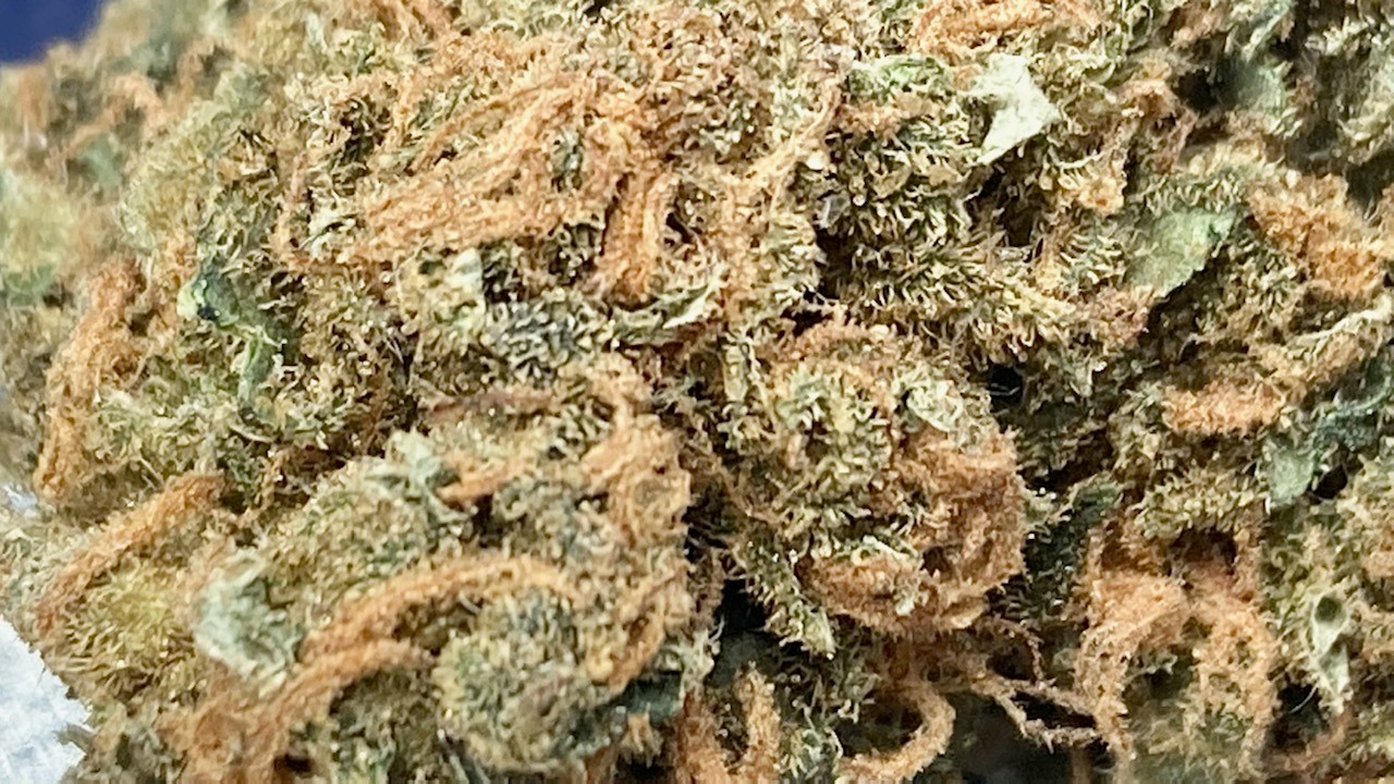 SB auto cured since 12 2 closeup.jpg