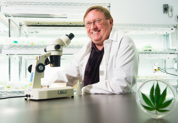 scientist with pot leaf