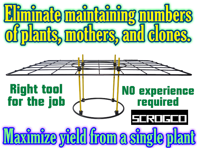 Screen of Green - scrog kit