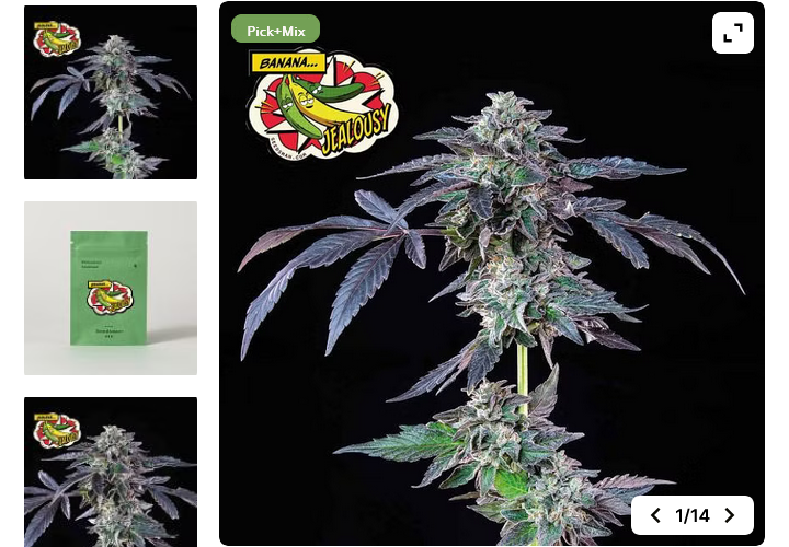 Screenshot 2024-02-28 at 05-01-10 Banana Jealousy Feminised Seeds Seedsman since 2002.png