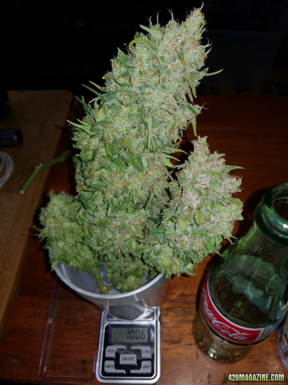 SD Clone 100g Cola.jpg