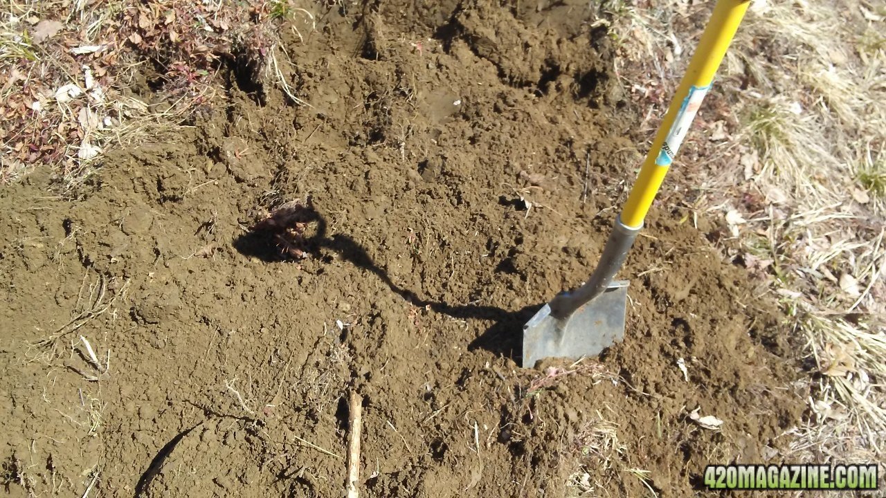 Second compost pile