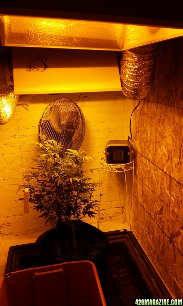 Second light and small heater added to flower room.