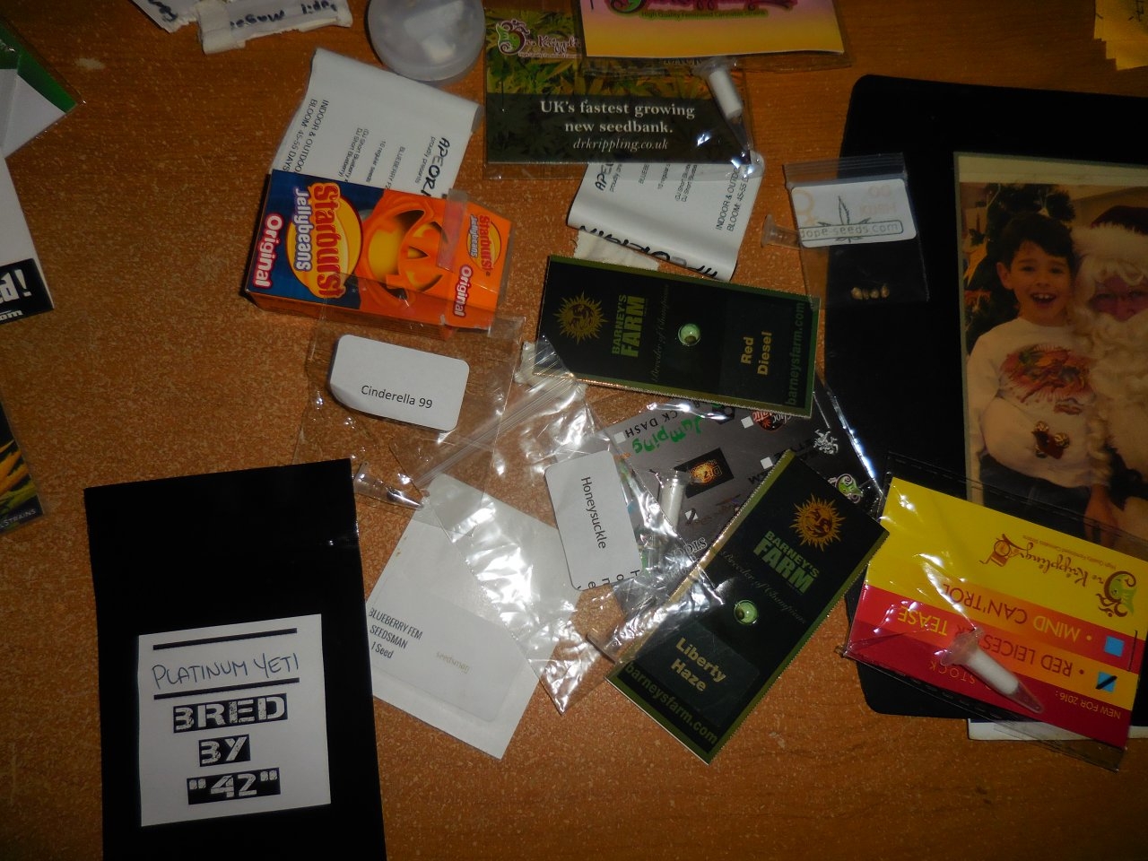 seed collection! 011.jpg