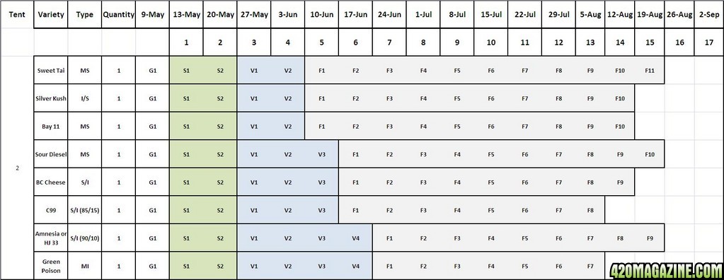 Seed Schedule - Actual