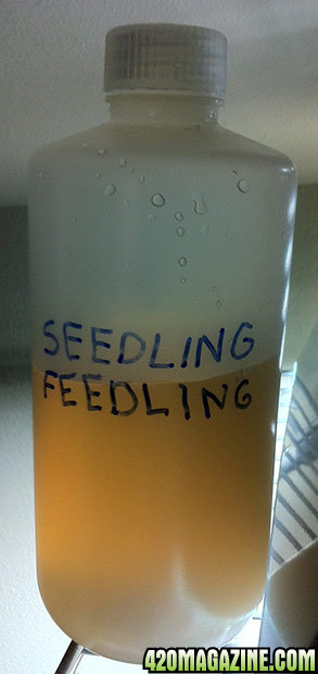 seedling_feedling