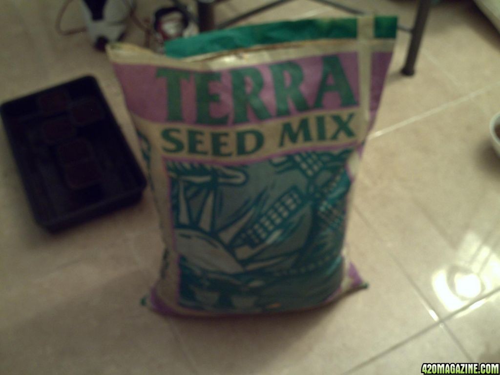 seedmix