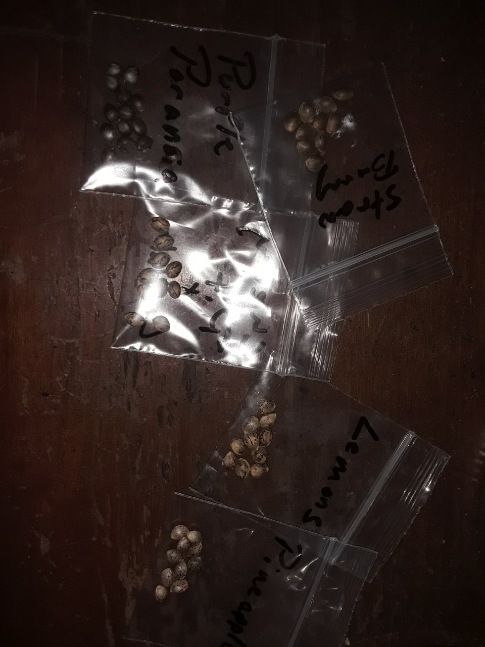 Seeds