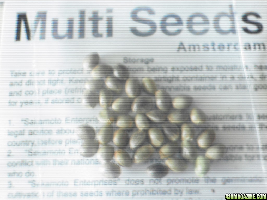 seeds