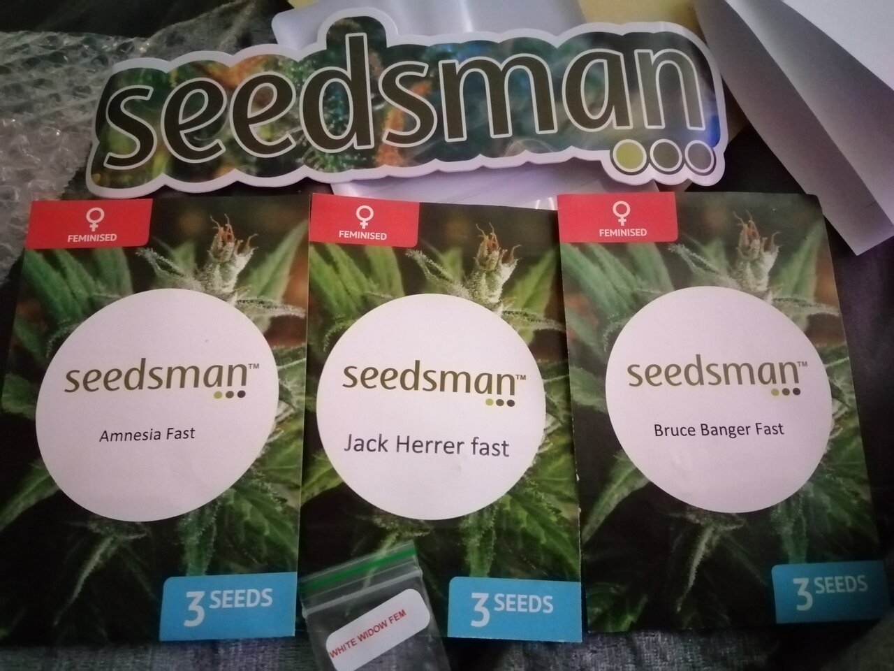 Seedsman Fast Strains