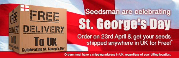 Seedsman St. George