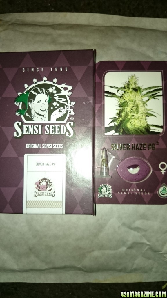 Sensi skunk , Automatic AK, silver haze#9