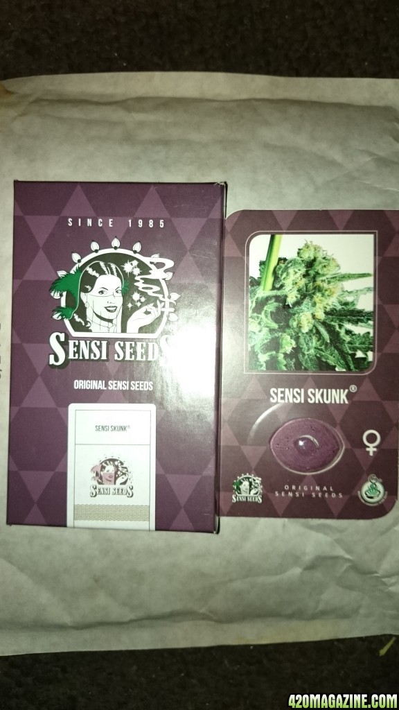 Sensi skunk , Automatic AK, silver haze#9