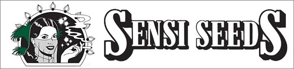 sensi