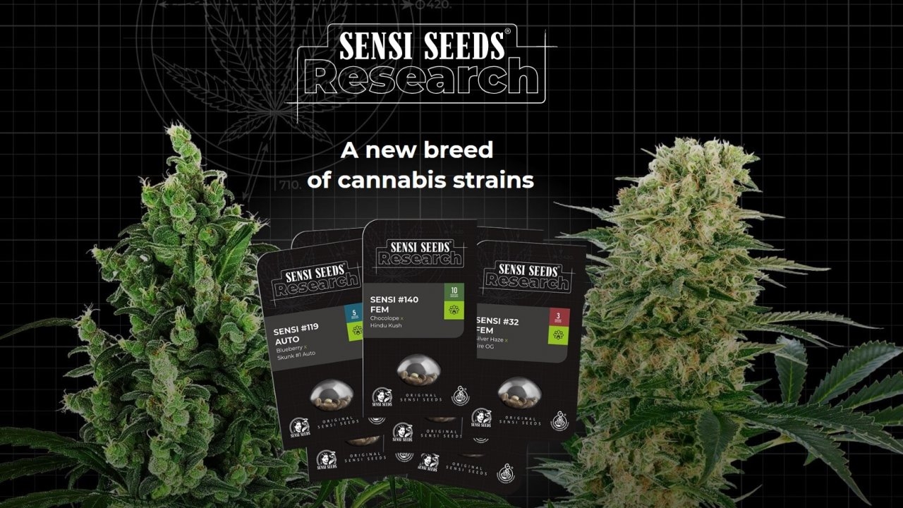 SensiSeedsResearch_header.jpg