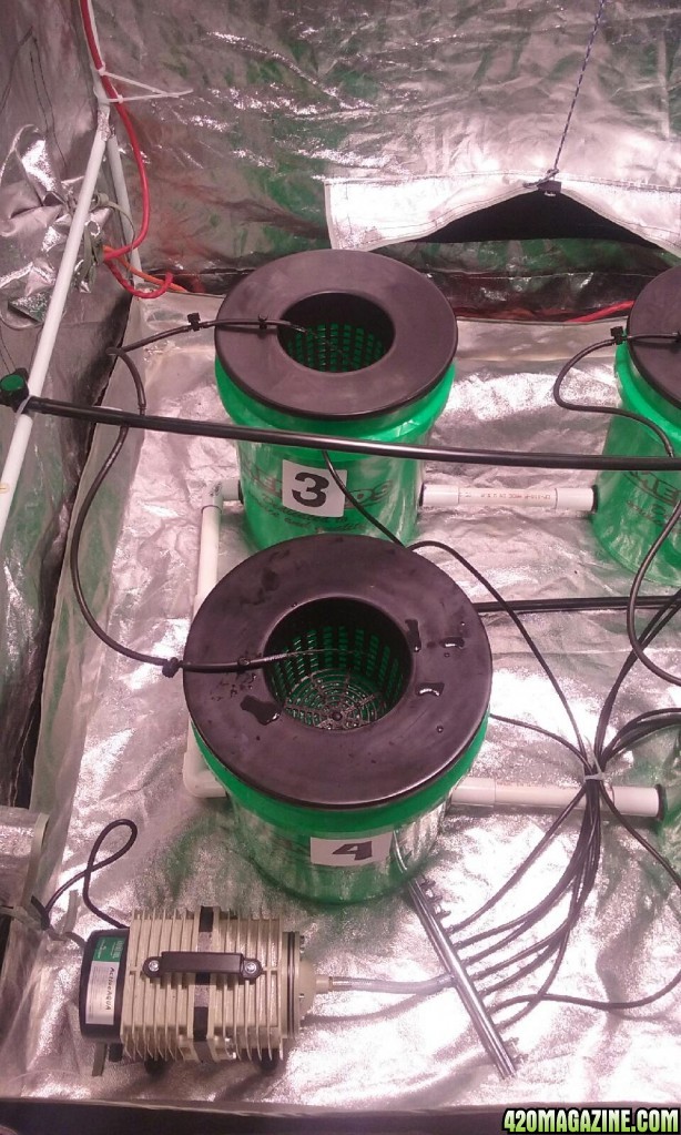 setting up my under current hydroponics system build..