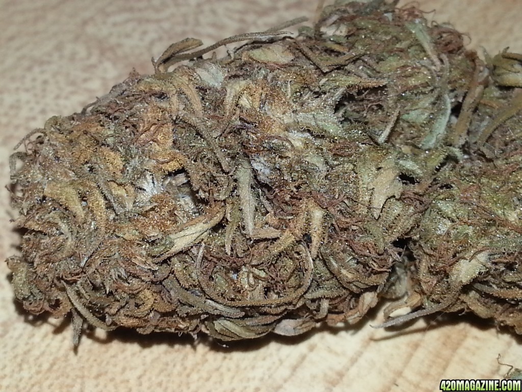 Shade Cured Outdoor