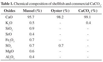 Shell