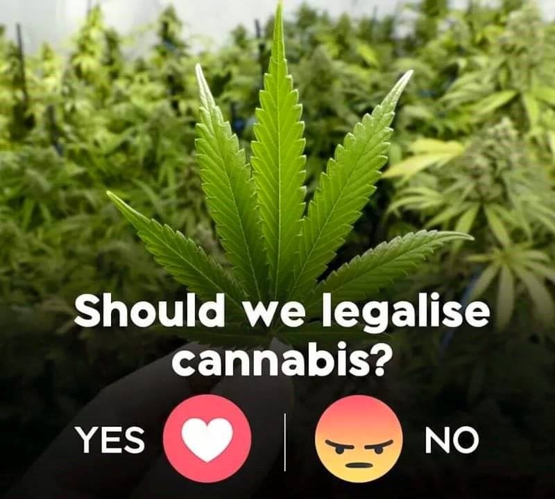 Should we legalize the cannabis.jpg