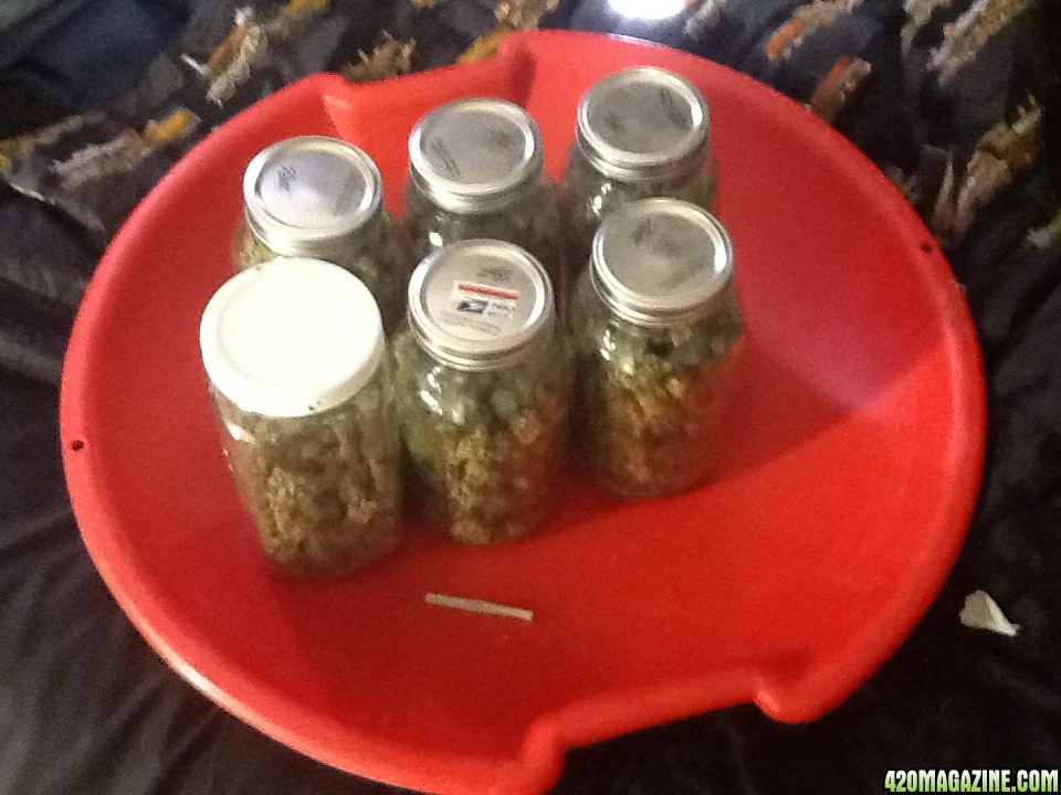 Six jars and a joint