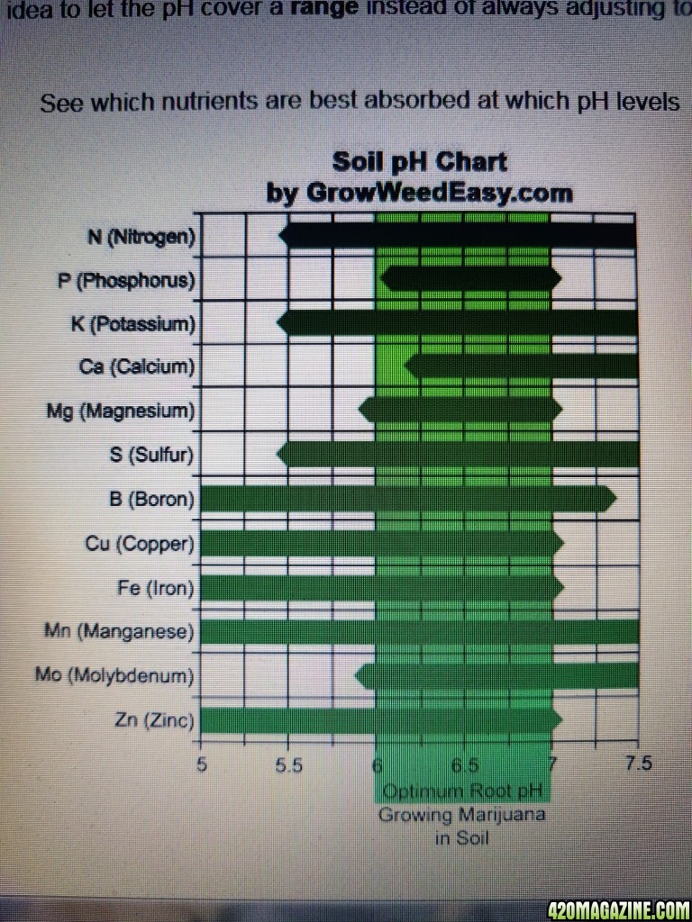 Six pots indoor COB led