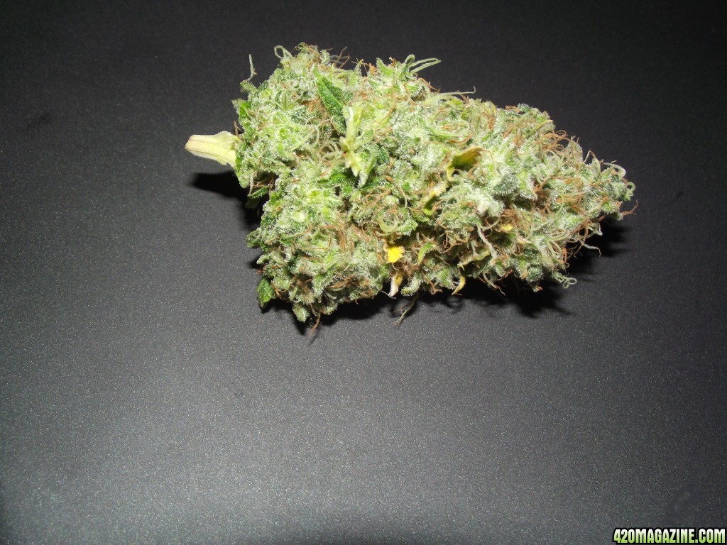 skunk 1 bud