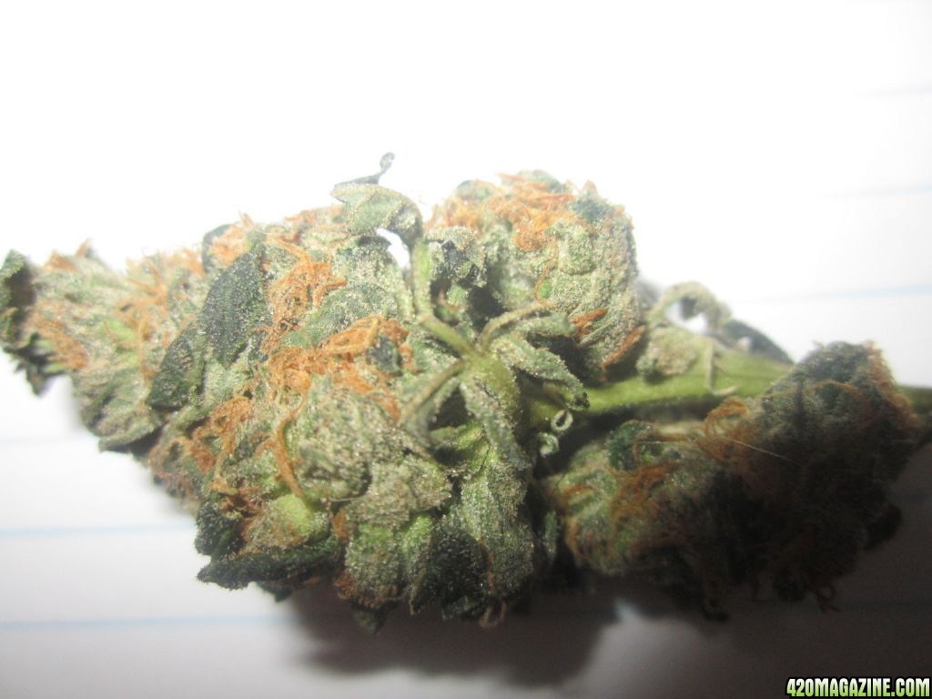 skywalker kush