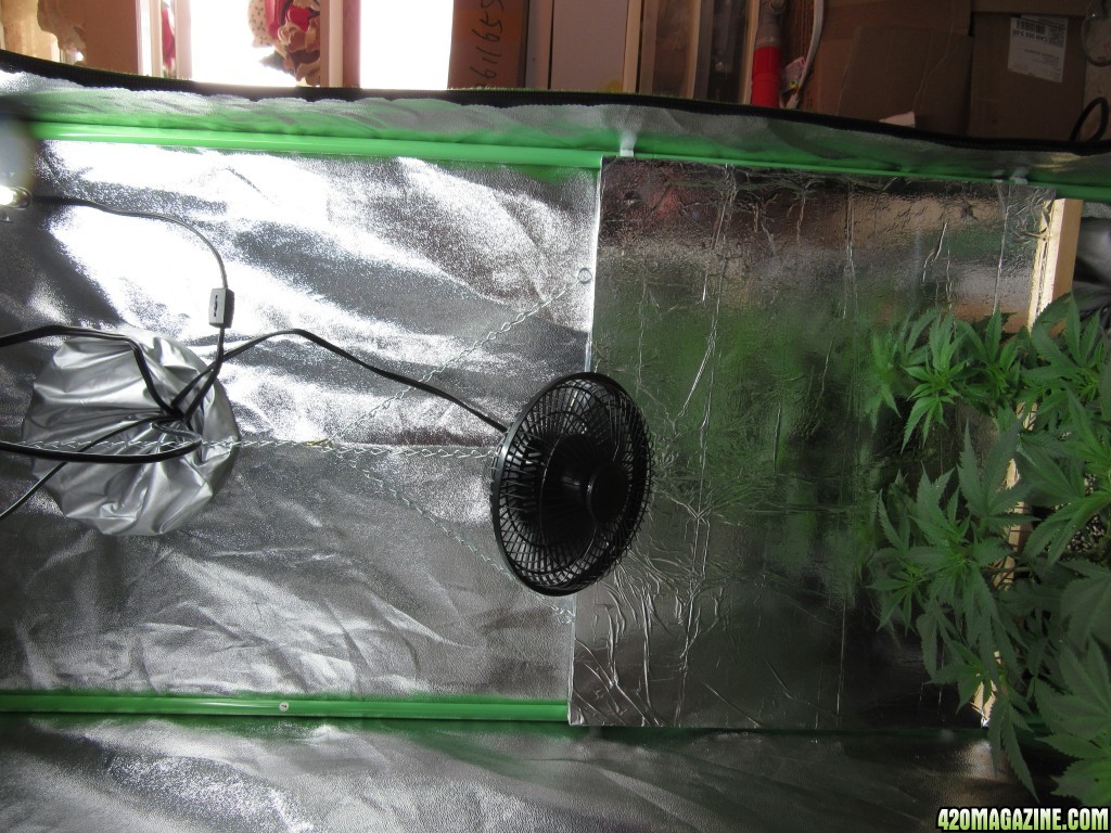 Slide for Adjustable Grow-Through Screen