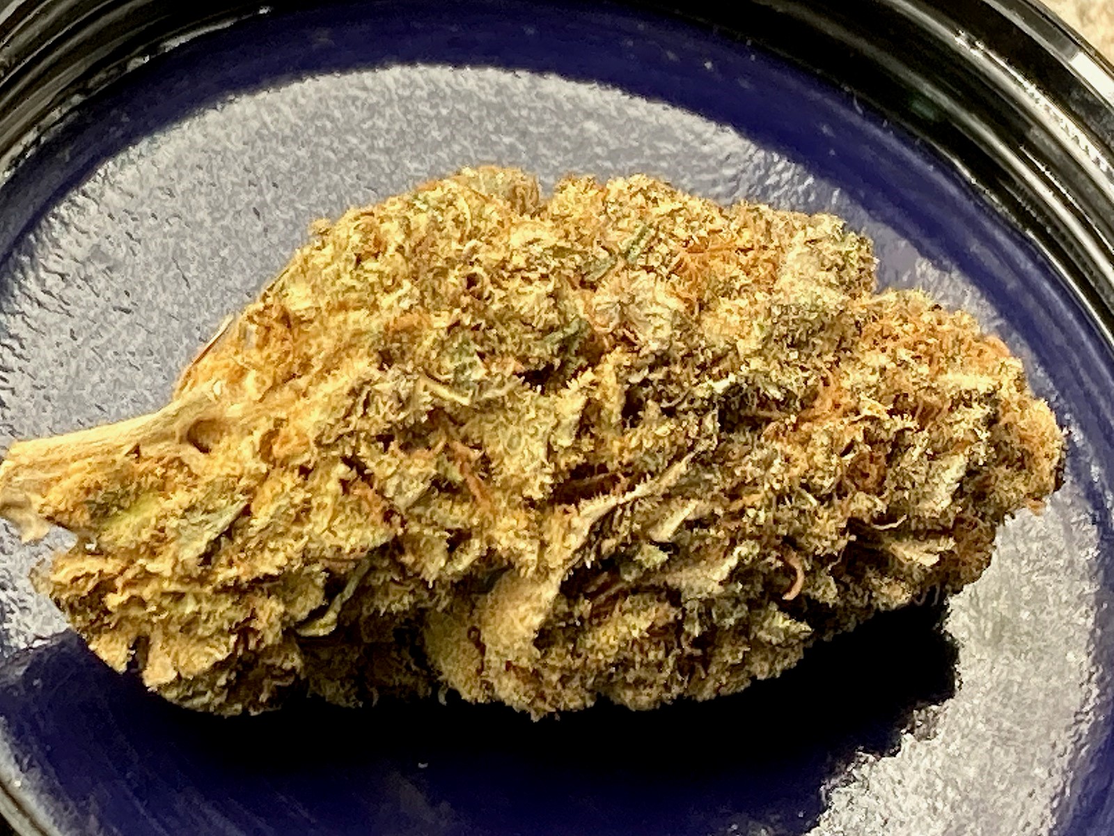 Slurricane bud today after 2 months of curing.jpg