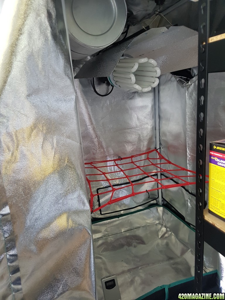 Small Grow Tent