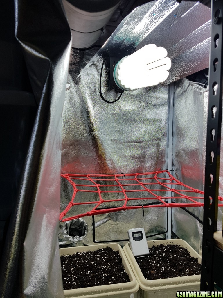 Small Grow Tent