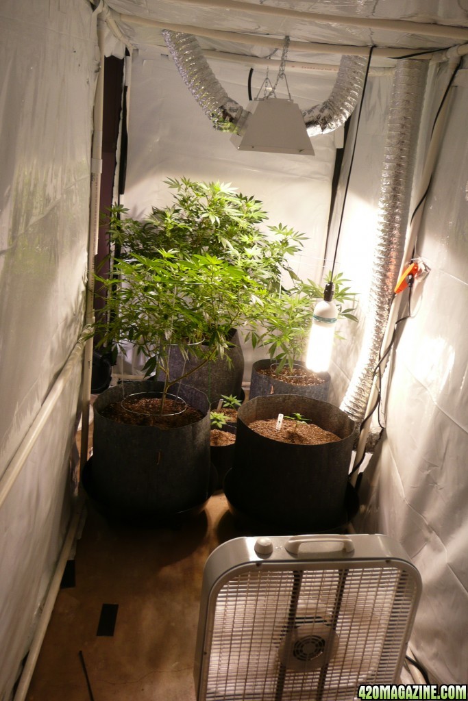 Small veg room