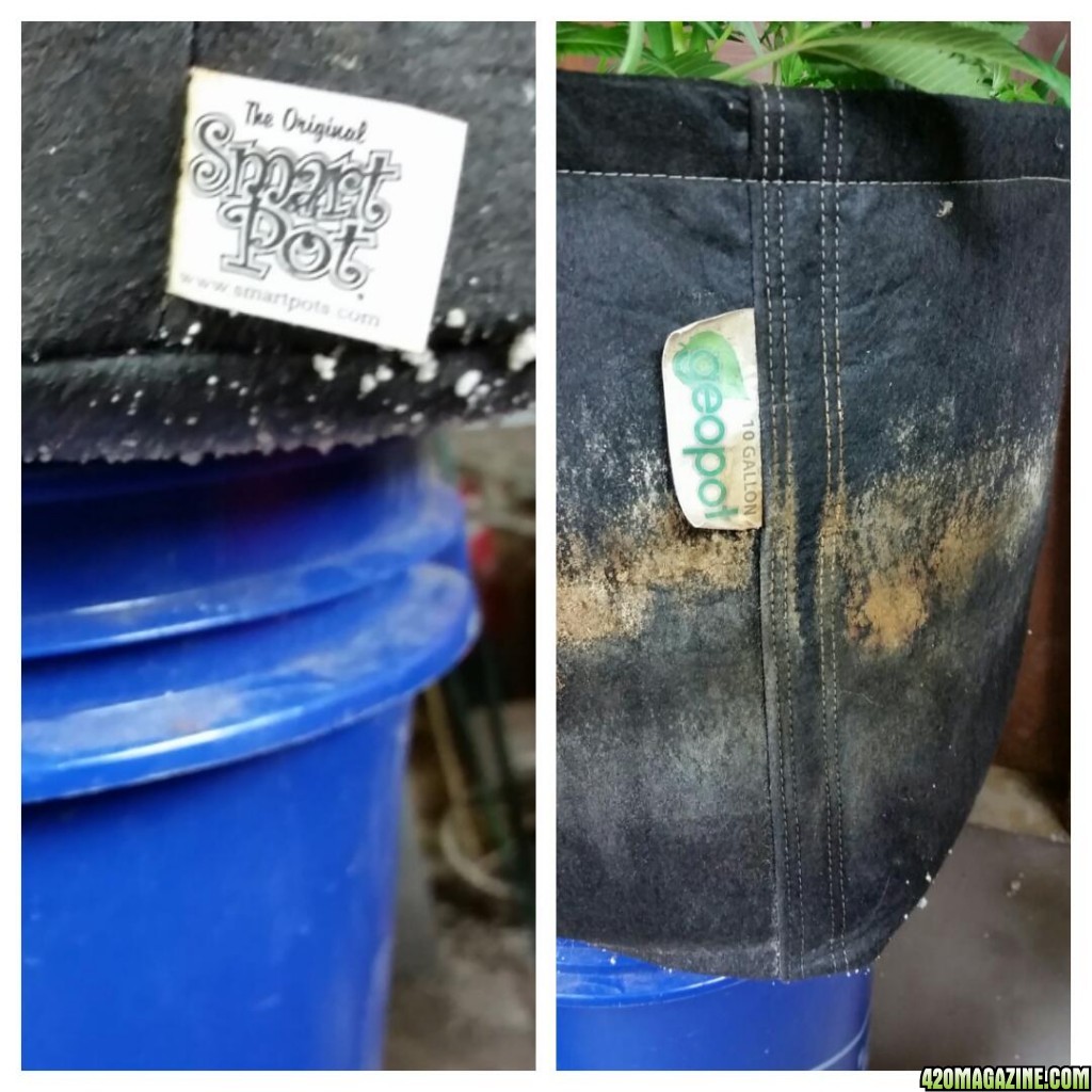 Smartpot vs Geopot