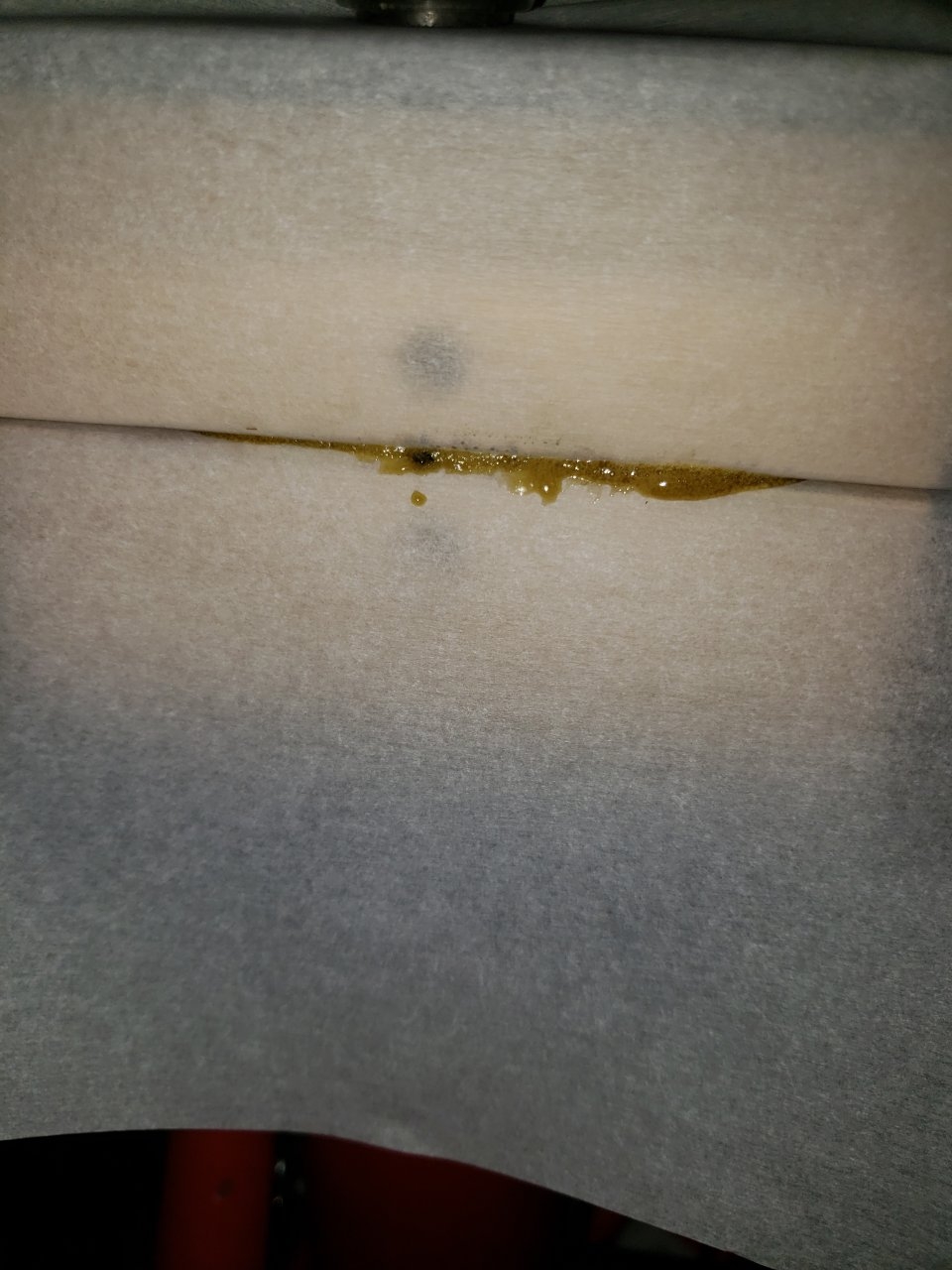 Smoothie auto rosin run