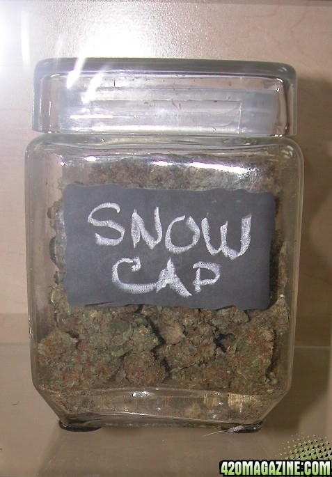 Snow Cap