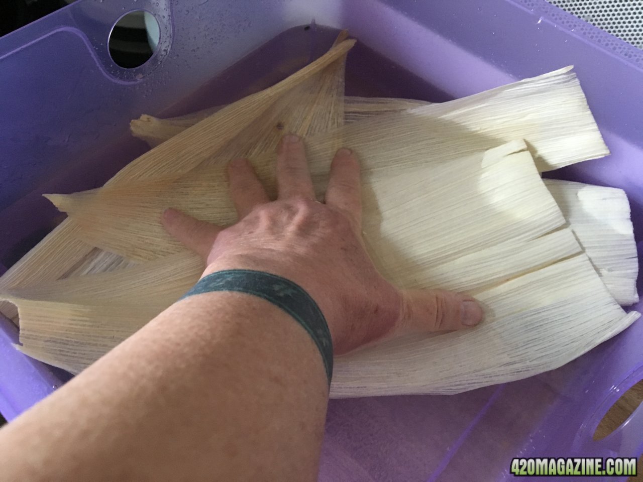 Soaking corn husks