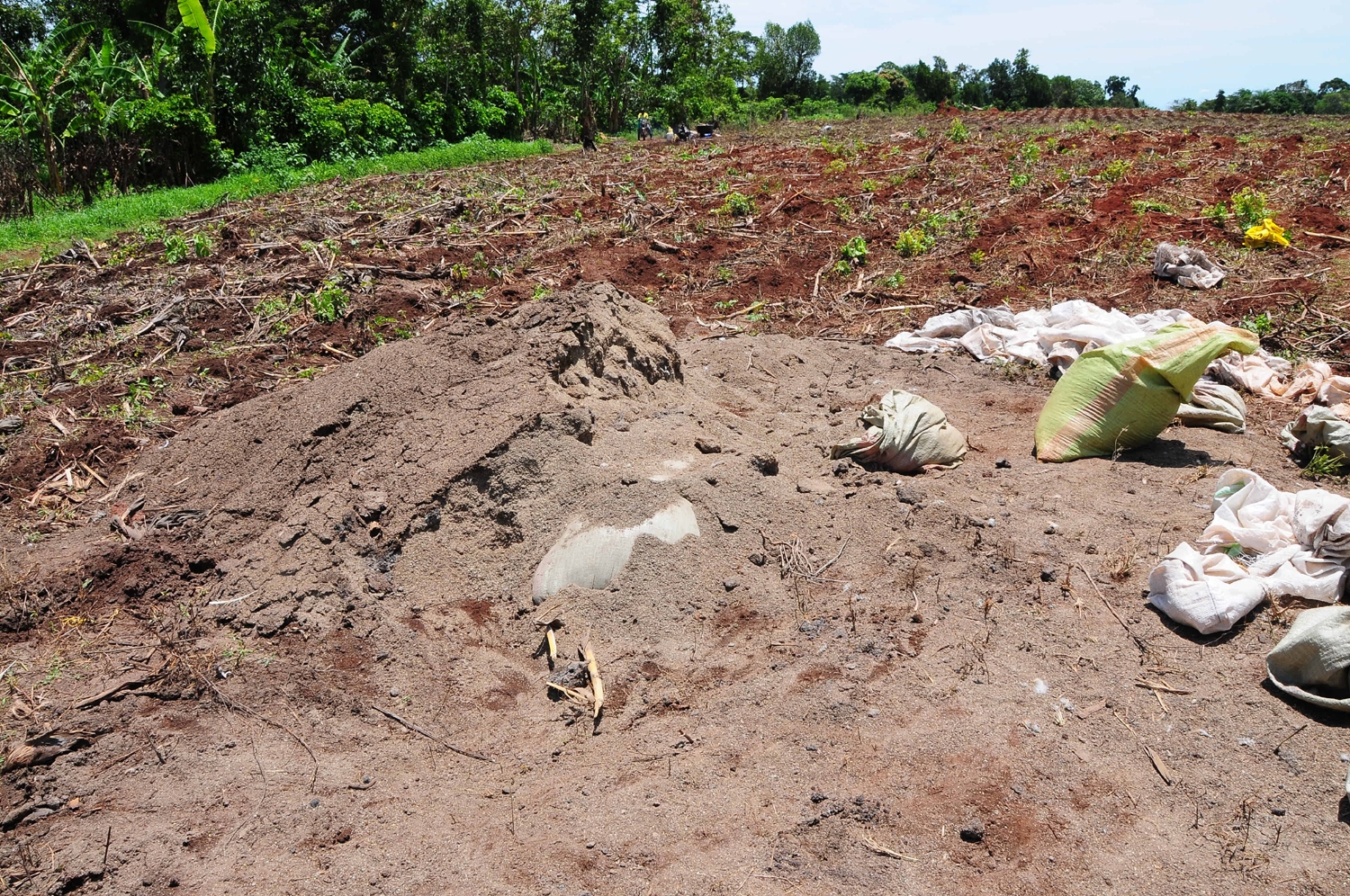 soil erosion.jpg